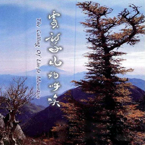 傾聽尼連禪河的聲音