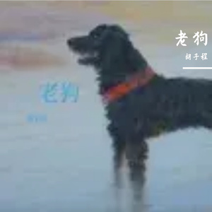 老狗