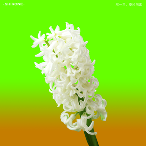 那一年，春风拂面 feat.洛天依