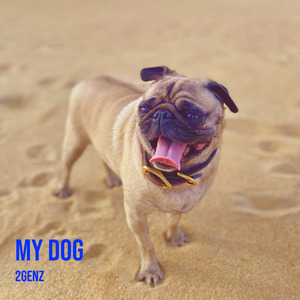 My Dog