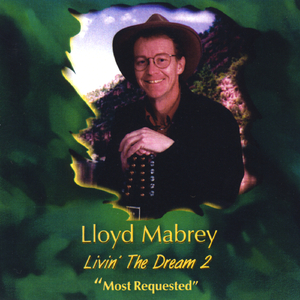 Somewhere in My Broken Heart