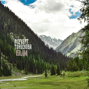 Бірлік дауысы