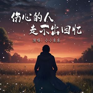 伤心的人走不出回忆