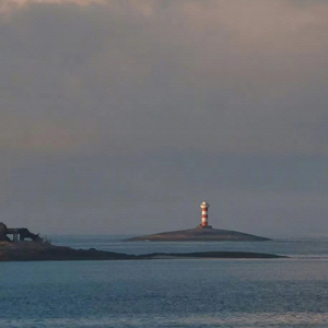 冬天里的一把火 (萨克斯)