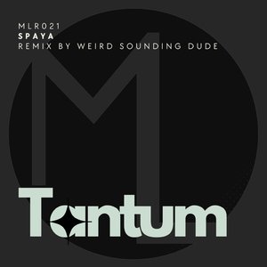 Spaya (Weird Sounding Dude Remix)