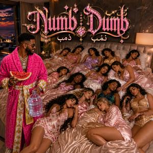 Numb Dumb