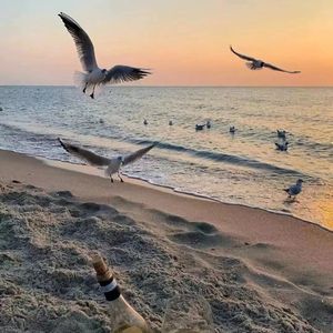 追光者(钢琴版)