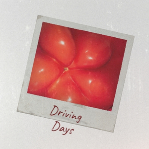 Driving Days
