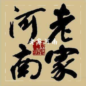 老家河南