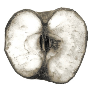 POMARIUM(苹果树）