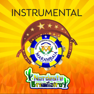 Nordeste Brasileiro (Playback)