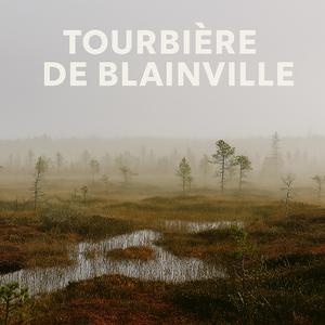 Tourbière de Blainville