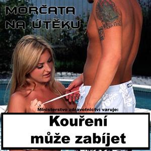 Polámal se mraveneček