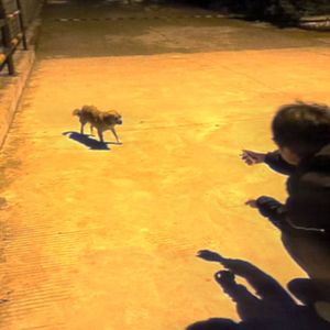 不可回收垃圾（Prod by MORROW）