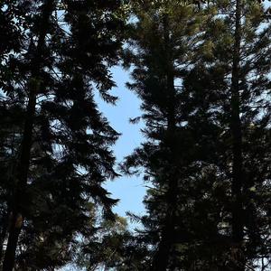 跟悲伤结了帐（旋律）