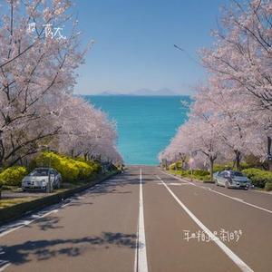 梨园春曲