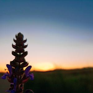 希望（prod by Red killer）