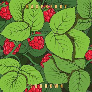 Raspberry (feat. Muscleinmydna, The Nait Sirk & sunrise [prod.])
