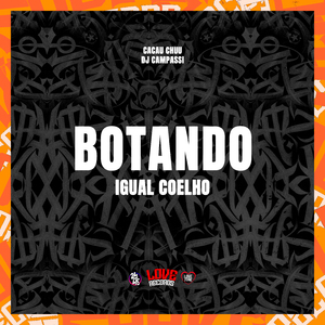 Botando Igual Coelho