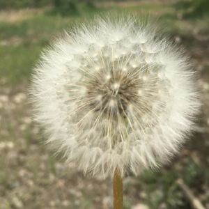 过去的过去就让它过去