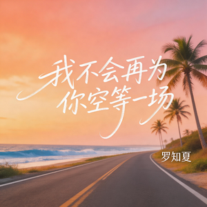 我不会再为你空等一场