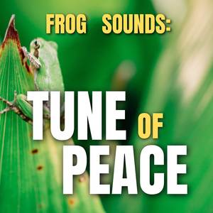 Frog Sounds
