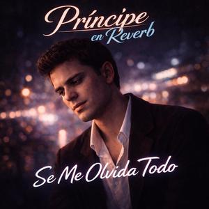 Se me olvida todo (Radio Edit)