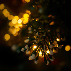 Under the Mistletoe Glow