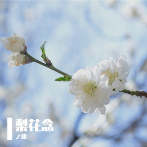 梨花念