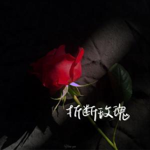 折断玫瑰（亲手折断了玫瑰 还问它为何枯萎）