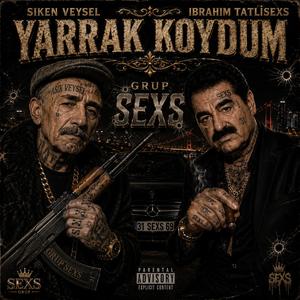 Yarrak Koydum
