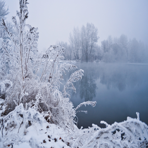 大圣的预谋（纯享版）