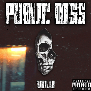 Public Diss