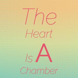 I Don't Know Why I'm Here