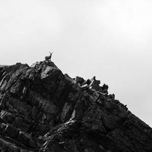 घर का सुख-चैन