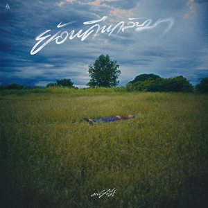 ย้อนคืนกลับมา