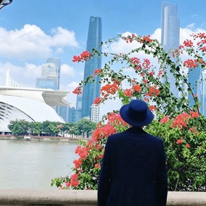 走过的路