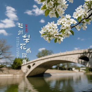 赵州梨花为你开