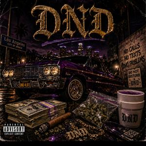 DND (feat. GOONIE2SAV)