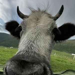 表停在你走那天