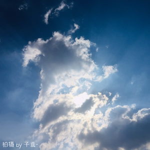 湛蓝的天空、未曾绽放的花朵