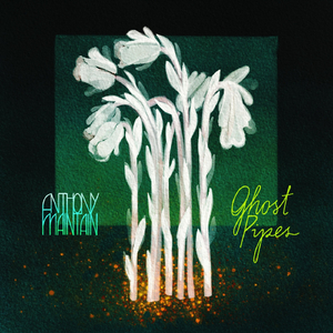 Illnesses of the Ego (feat. Ceschi)