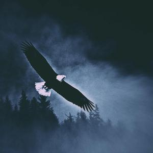 哪里(Prod.Andersc)