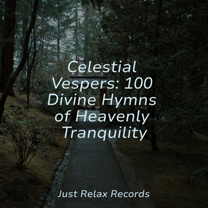 Cosmic Cocooning Groove