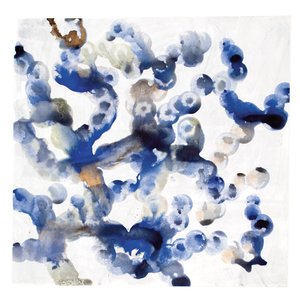 Vamos Ficar na Terra