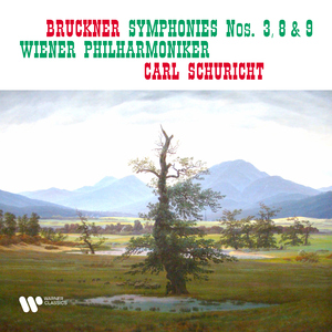 Symphony No. 3 in D Minor, WAB 103 "Wagner Symphony":I. Gemäßigt, mehr bewegt, misterioso (1890 Version)