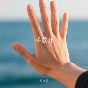 十七岁的雨季 (Cover 林志颖)