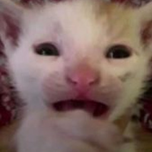 Lo stregone più potente (slowed)