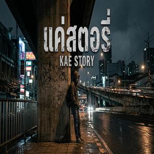 แค่สตอรี่