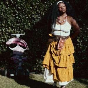 Today I Bought A Gun